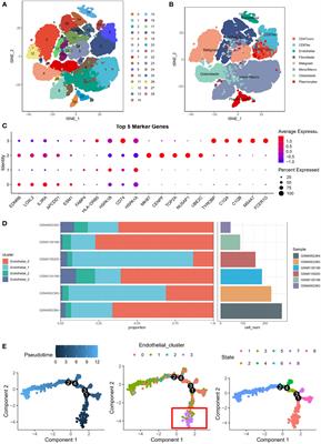 TYROBP-positive endothelial cell-derived TWEAK as a promoter of osteosarcoma progression: insights from single-cell omics